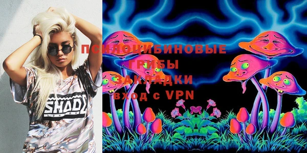 дживик Елабуга