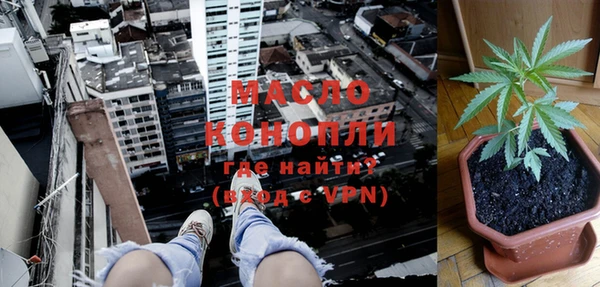 дживик Елабуга